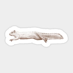 Squirrel Sticker